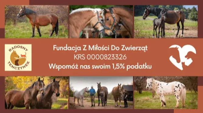 Przekaż 1.5% podatku na Fundację